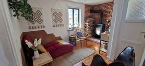 TV, fireplace, video games, books