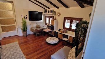 TV, lareira, videogames, livros