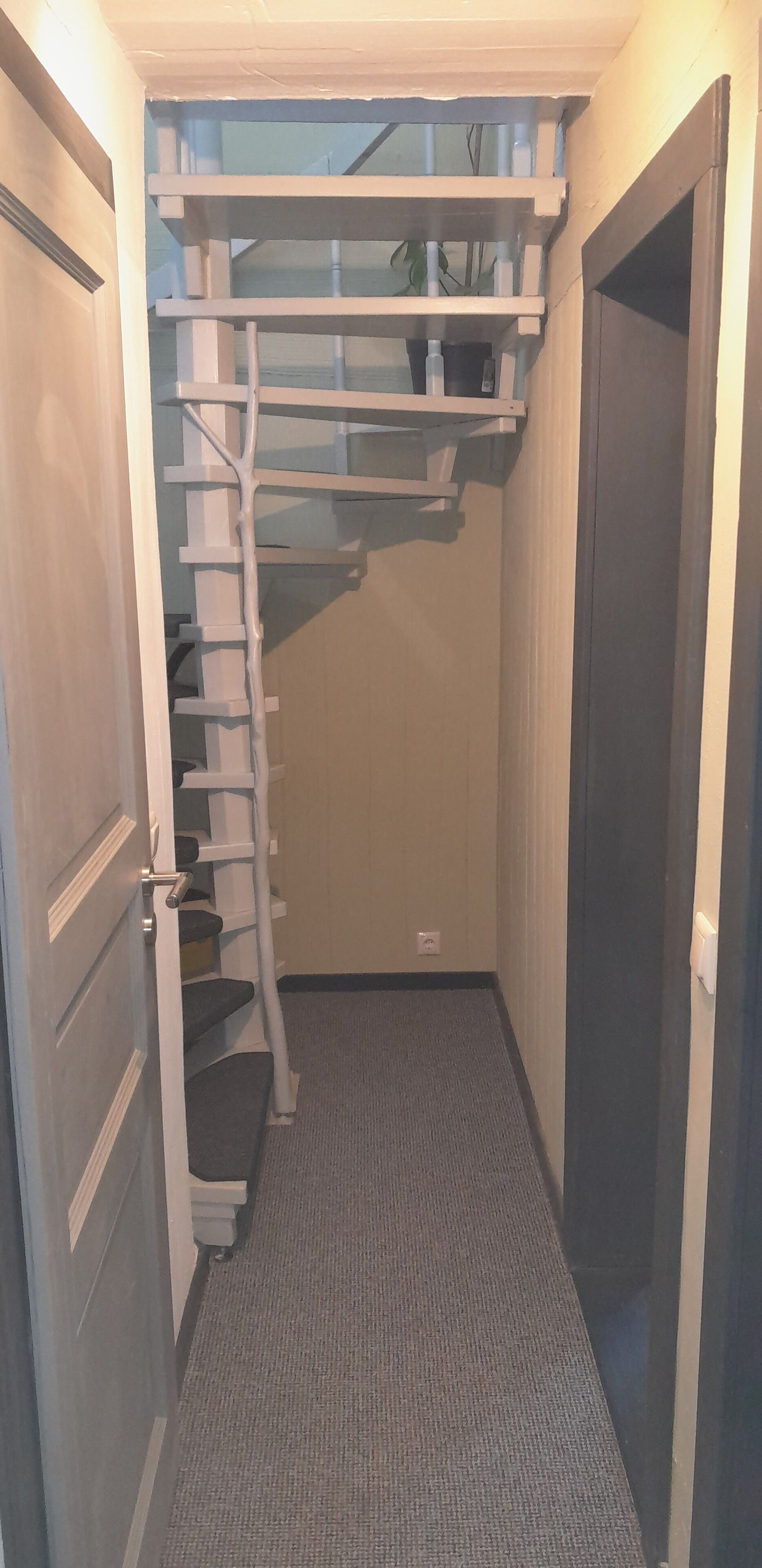 A narrow hallway with a carpeted floor, a white door on the left, and a dark door on the right.