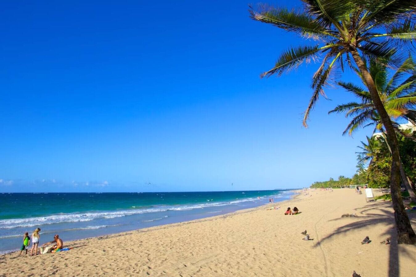 Camastros y toallas de playa 