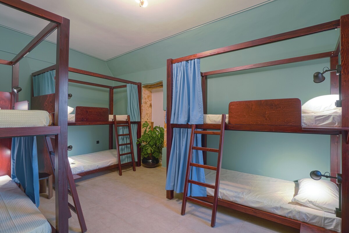 Une chambre avec des lits superposés, une plante en pot et une échelle.