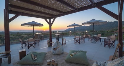 Youth Of Dope Hostel