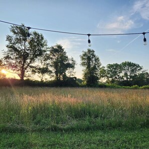 Een grasveld met een lichtslingering en bomen op de achtergrond.