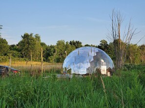 A transparent dome structure in a grassy field with trees in the background. - Glamping Dome in Martville near Lake Ontario! (Martville)