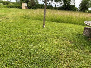 Miscellaneous - Dome in Wildlife
(Martville)