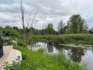 Property grounds - Dome in Wildlife
(Martville)