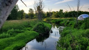 A serene riverside landscape with lush greenery and a small stream. - Dome in Wildlife

 (Martville)