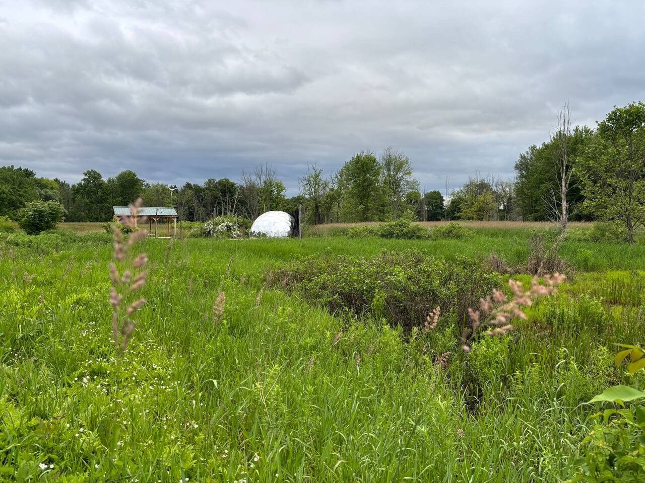 A grassy field with a white structure and a white object in the distance.