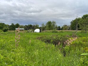 Een grasveld met een witte constructie en een wit object in de verte.