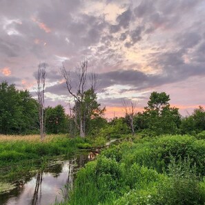 Miscellaneous - Dome in Wildlife

 (Martville)