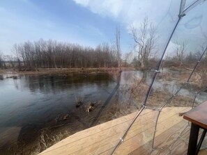 Property grounds - Backwoods Dome

 (Martville)