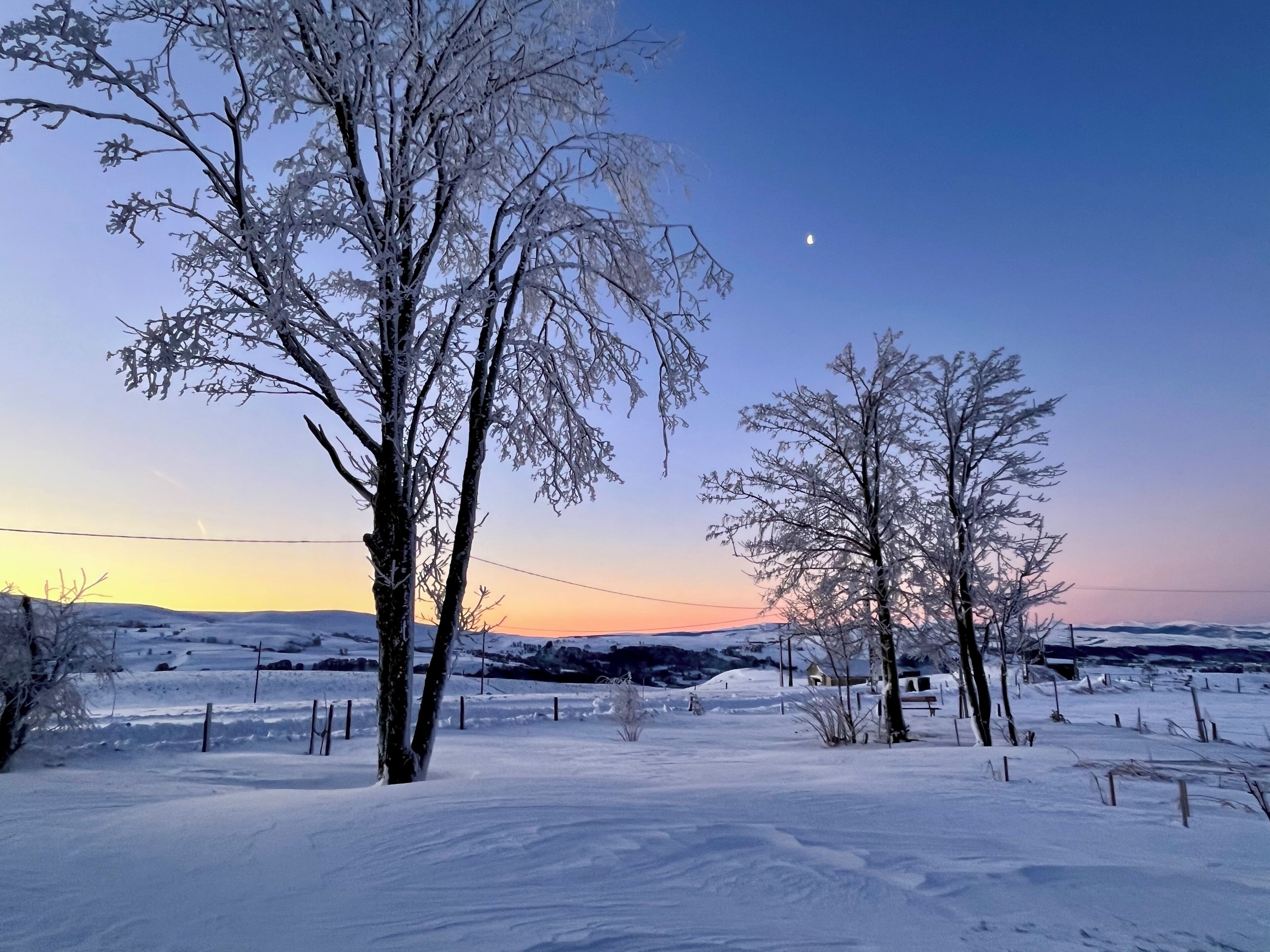 Un paysage enneigé avec des arbres et un ciel dégagé.