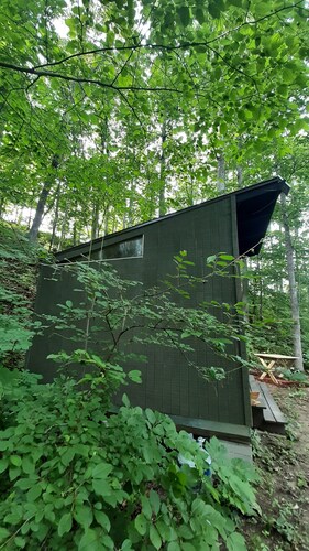 Hike to your tiny cabin in the woods, we will leave the solar lights on for you.