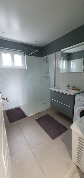 Shower, towels, toilet paper