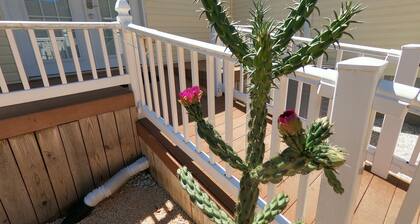 RANCH WITH CACTUSES Weekly/Monthly UP TO 50% OFF