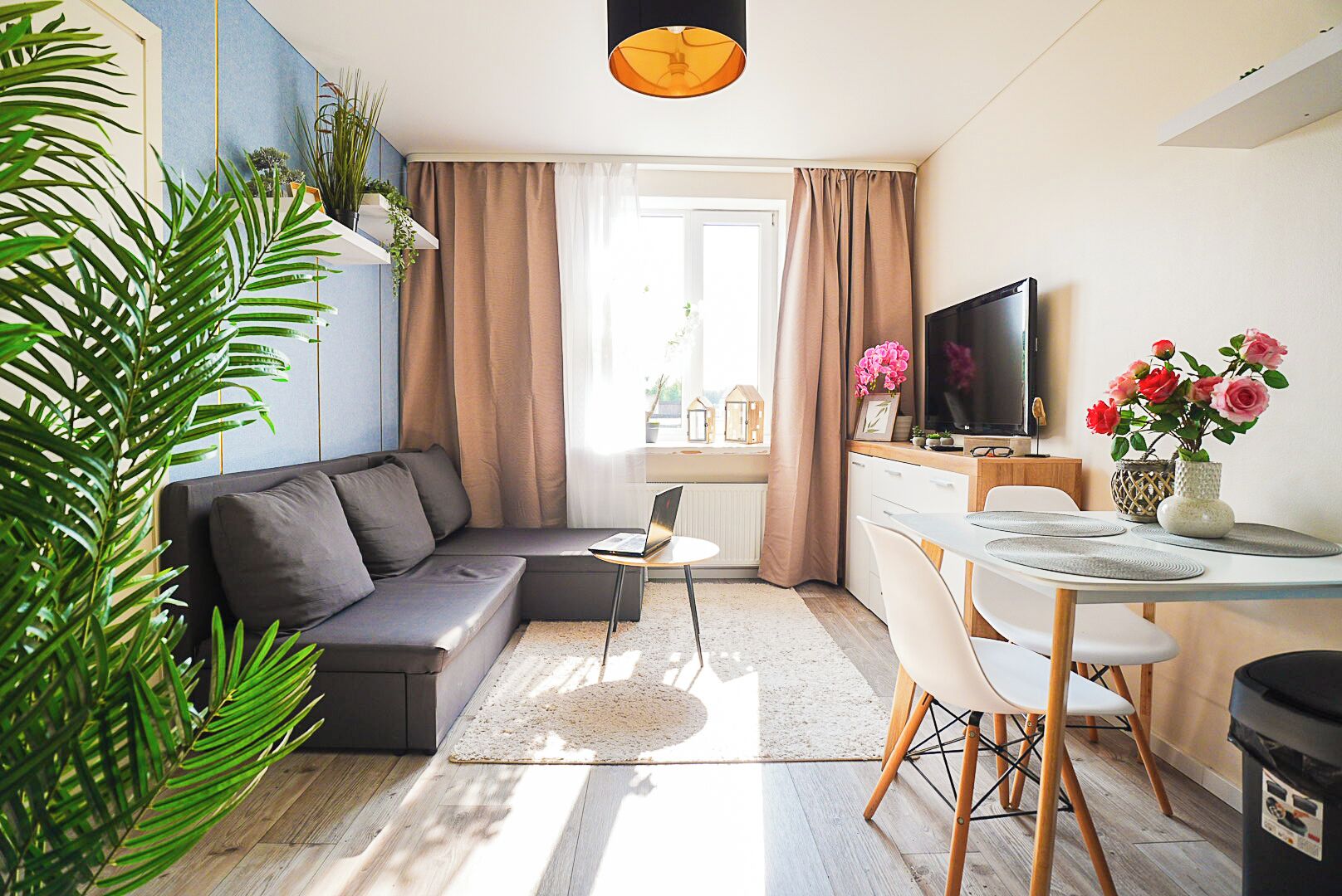 42-inch flat-screen TV with digital channels