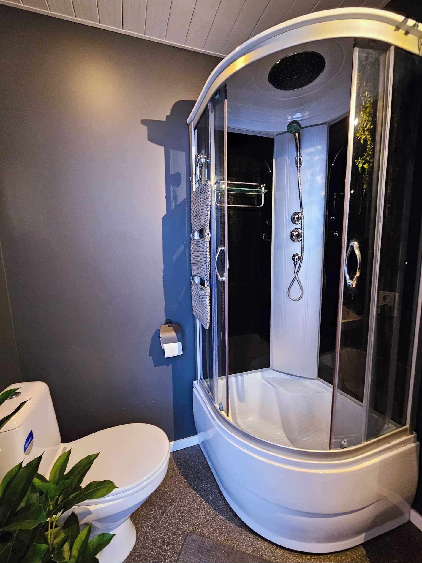 Et moderne badeværelse med en glasvæg omkring bruseren, et hvidt toilet og en lille plante.