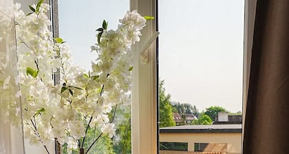 Cofy Rentals Tartu