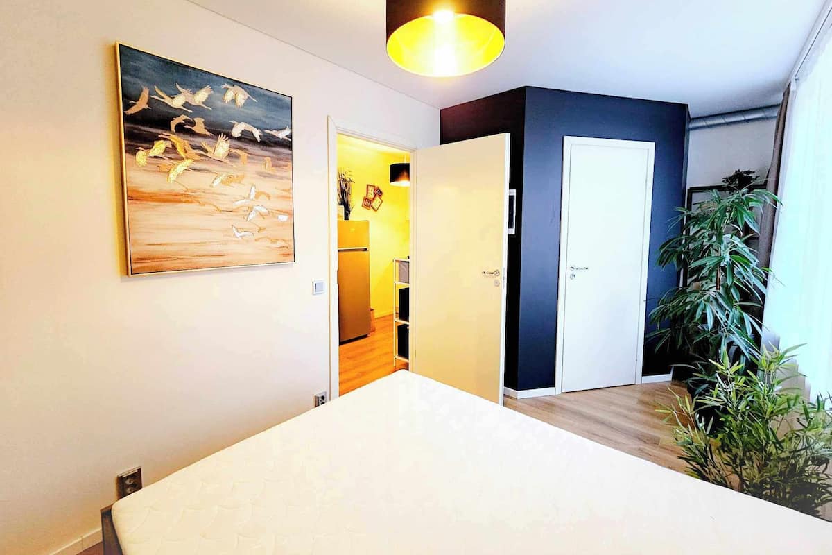 Une chambre moderne avec un grand lit, un tableau représentant des oiseaux, une porte donnant sur la cuisine et une plante en pot.