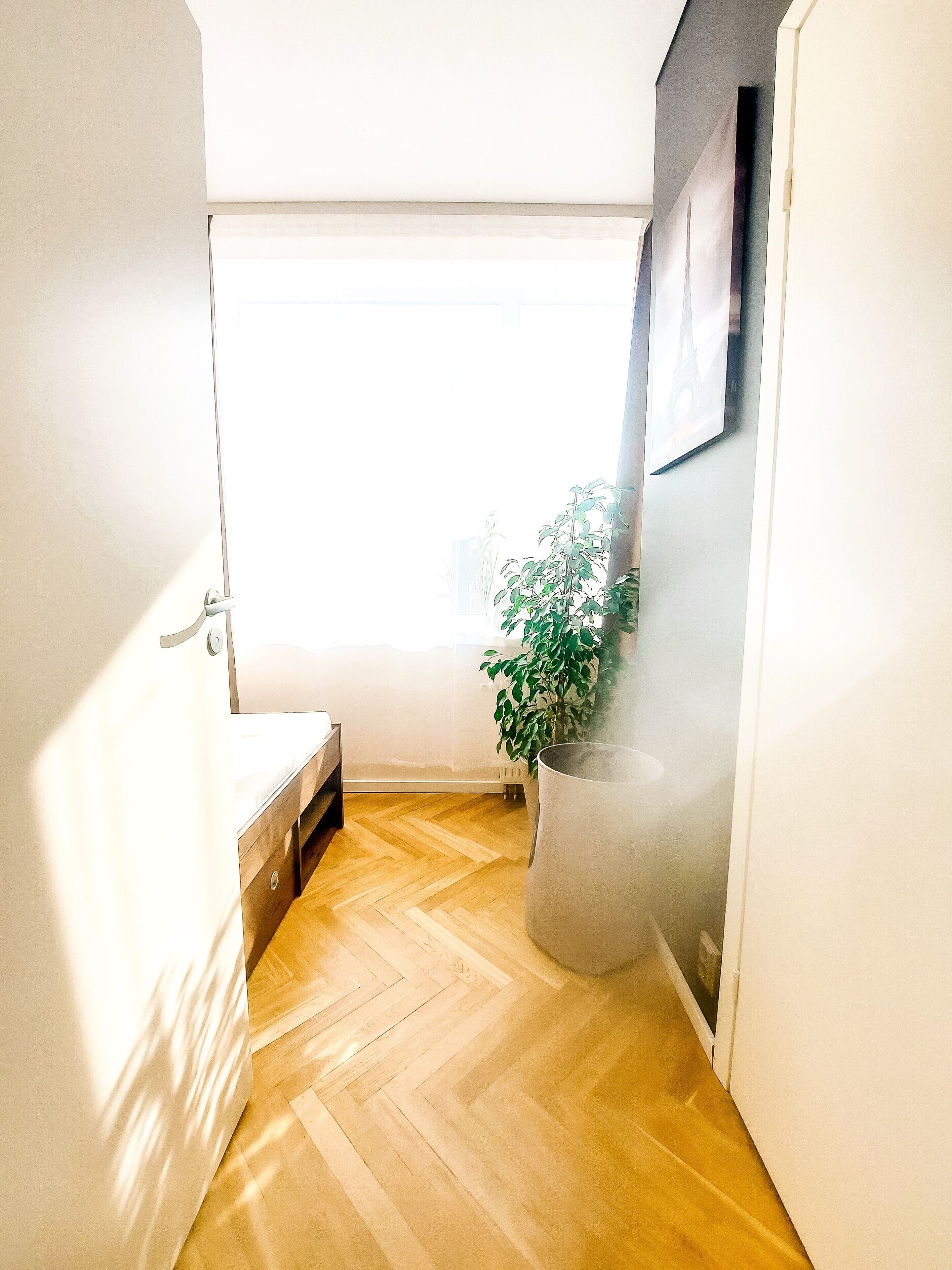 Un pasillo estrecho con suelo de madera, una planta en maceta y una puerta con manija.