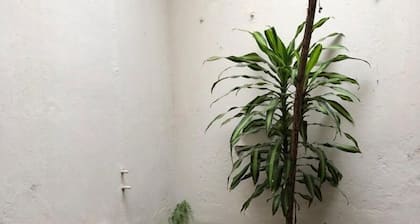 With Garage - Cozy House in the City Center