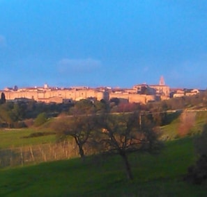 Property grounds - Between the sea of Argentario, the thermal baths of Saturnia and the park of Maremma (Toscana)
