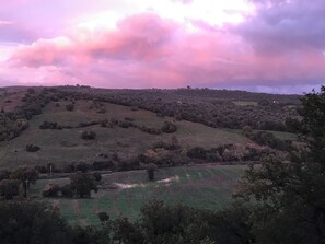 Vue aérienne