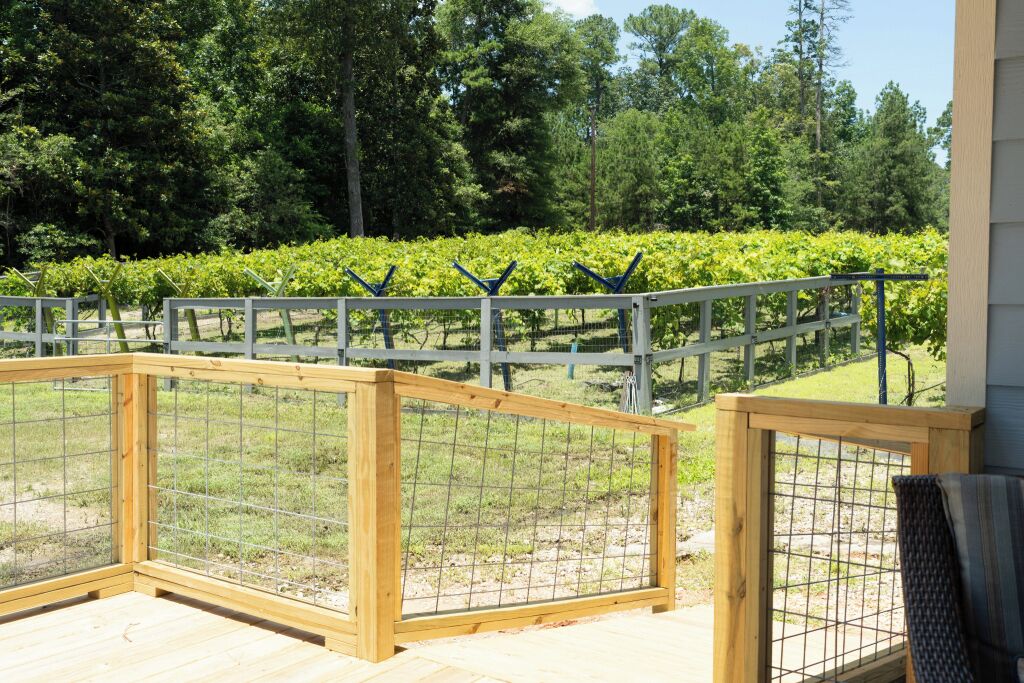 A wooden deck with a metal fence overlooking a vineyard.