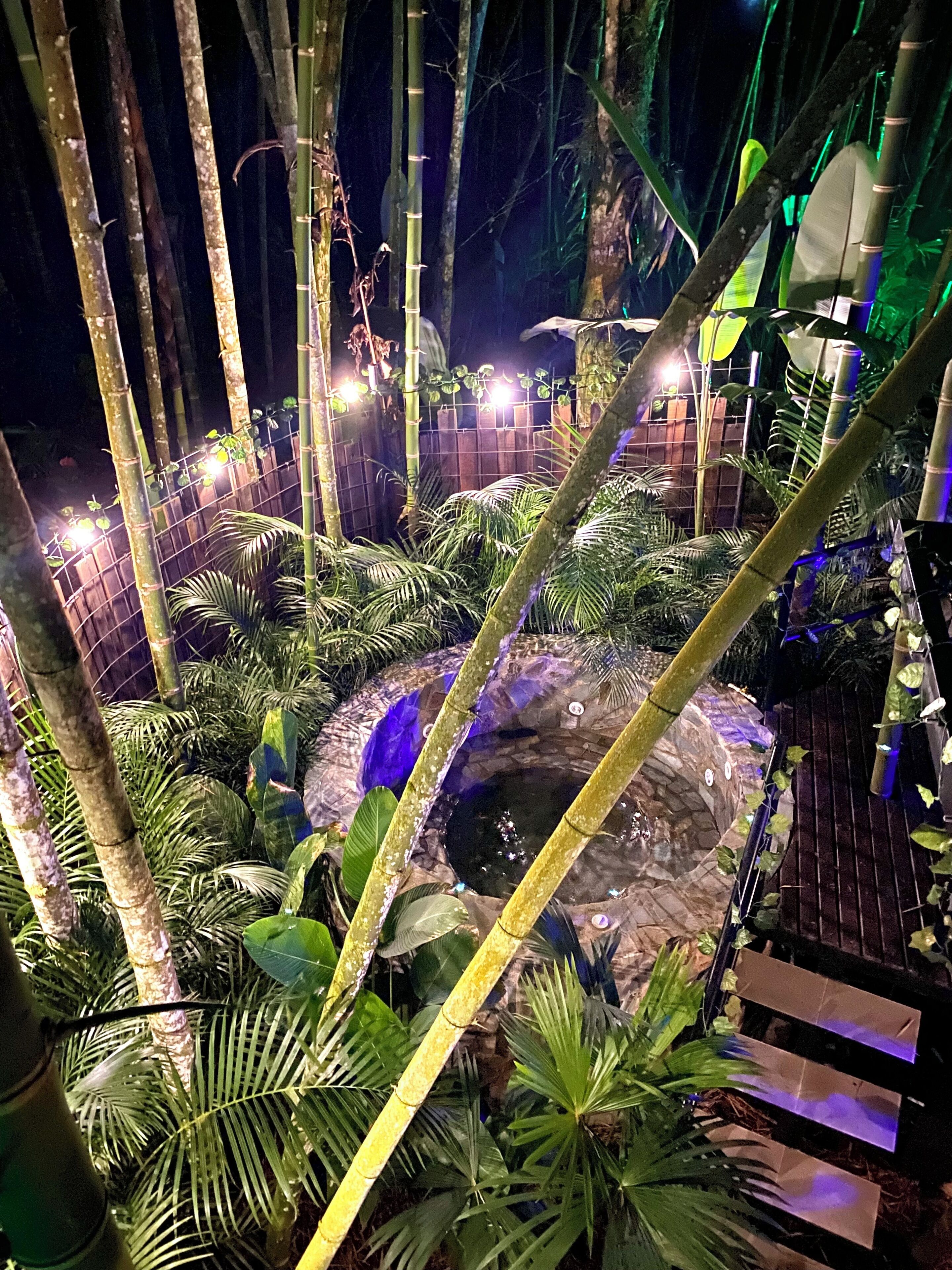 Un exuberante jardín interior con bambú, helechos y una fuente central.