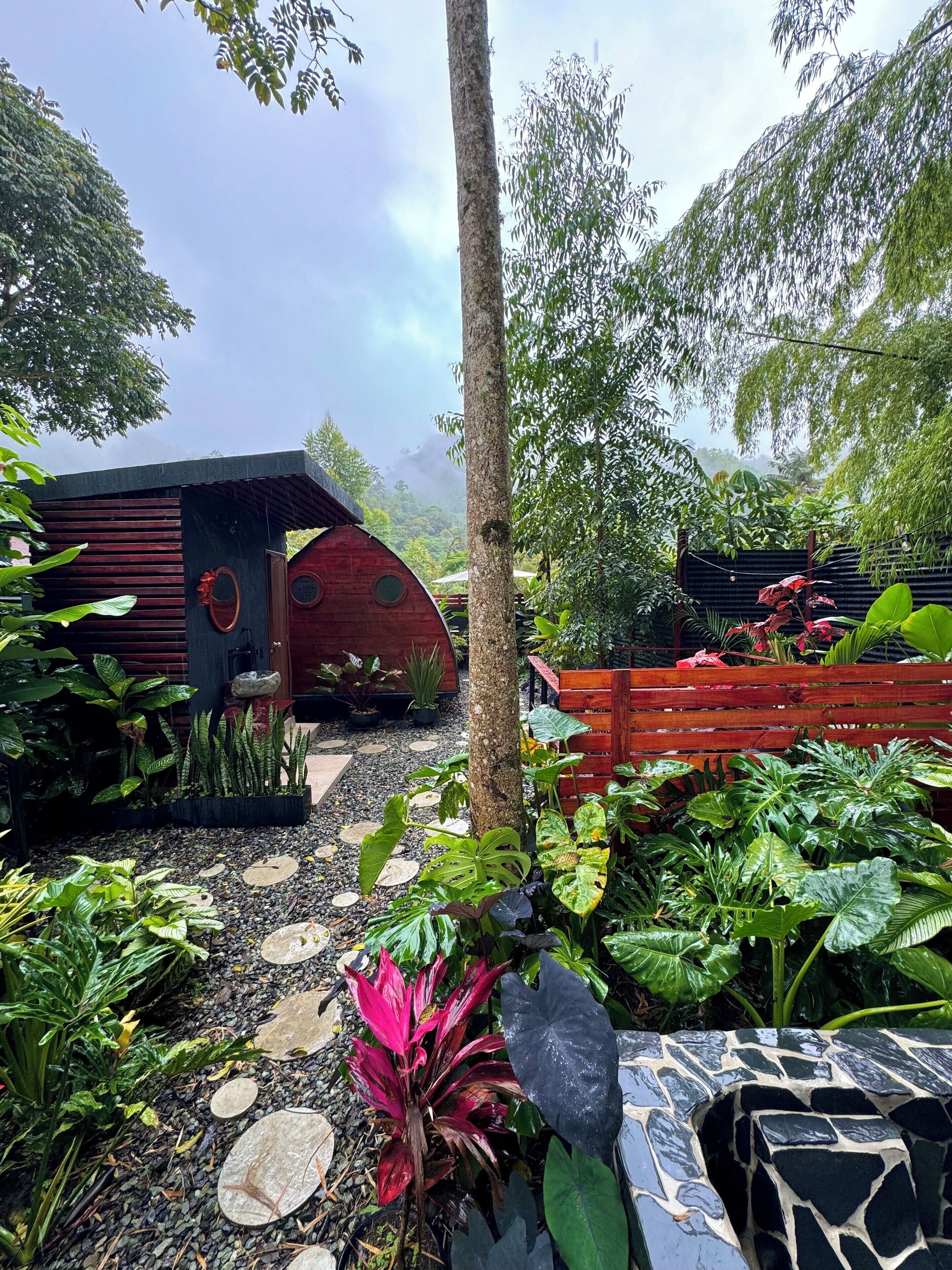 Comfort Bungalow, Patio | Living area | Books