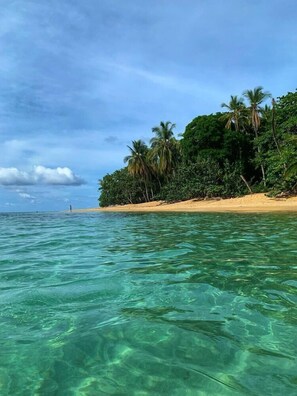 Beach - Almonds and Corals (Cahuita)