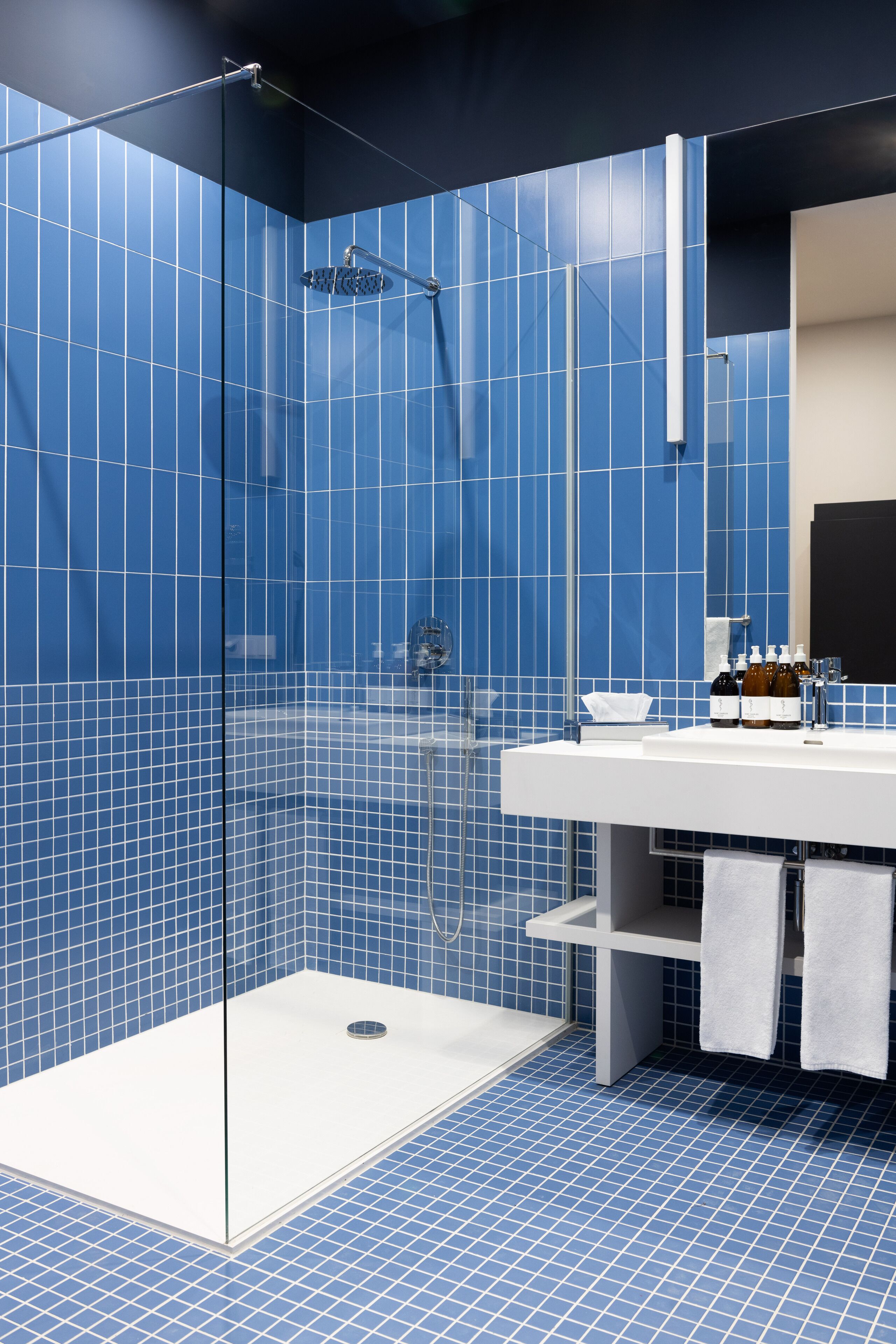 Klassieke studio | Badkamer | Een douche, een haardroger, handdoeken