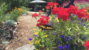Un jardin agrémenté de nombreuses fleurs aux couleurs vives, un belvédère et un trépied.