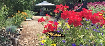 Wildlife, Nature, Glamp #3