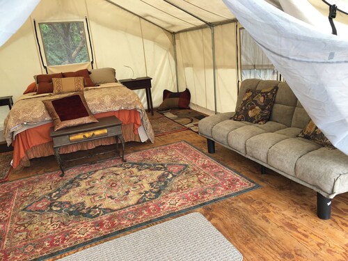 Wildlife, Nature, Glamp #3