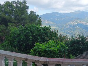 Property grounds - Chalet on the heights of Nice Cote D'azur (Nice)