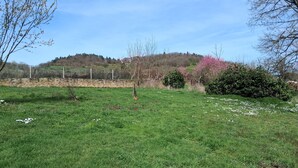 A grassy field with a stone wall, trees, and a hill in the background. - HOUSE 8-9 people LAVAUDIEU, most beautiful village in France. Pets allowed. (Lavadieu)