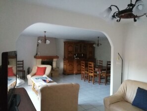 Televisión, chimenea y libros 