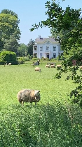 Jouwvakantiehuisnl - Acc Drentsche Aa Heerlijk Genieten in Drenthe