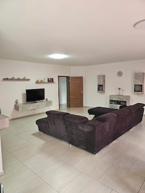 Smart TV, fireplace, books