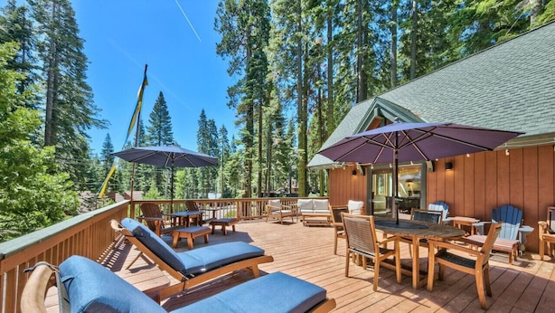 A wooden deck with lounge chairs and umbrellas, surrounded by tall trees. - Spacious West Shore Cabin! (Homewood)