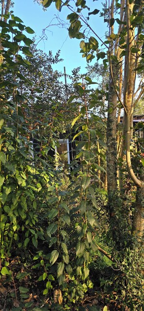 Details aan de buitenkant