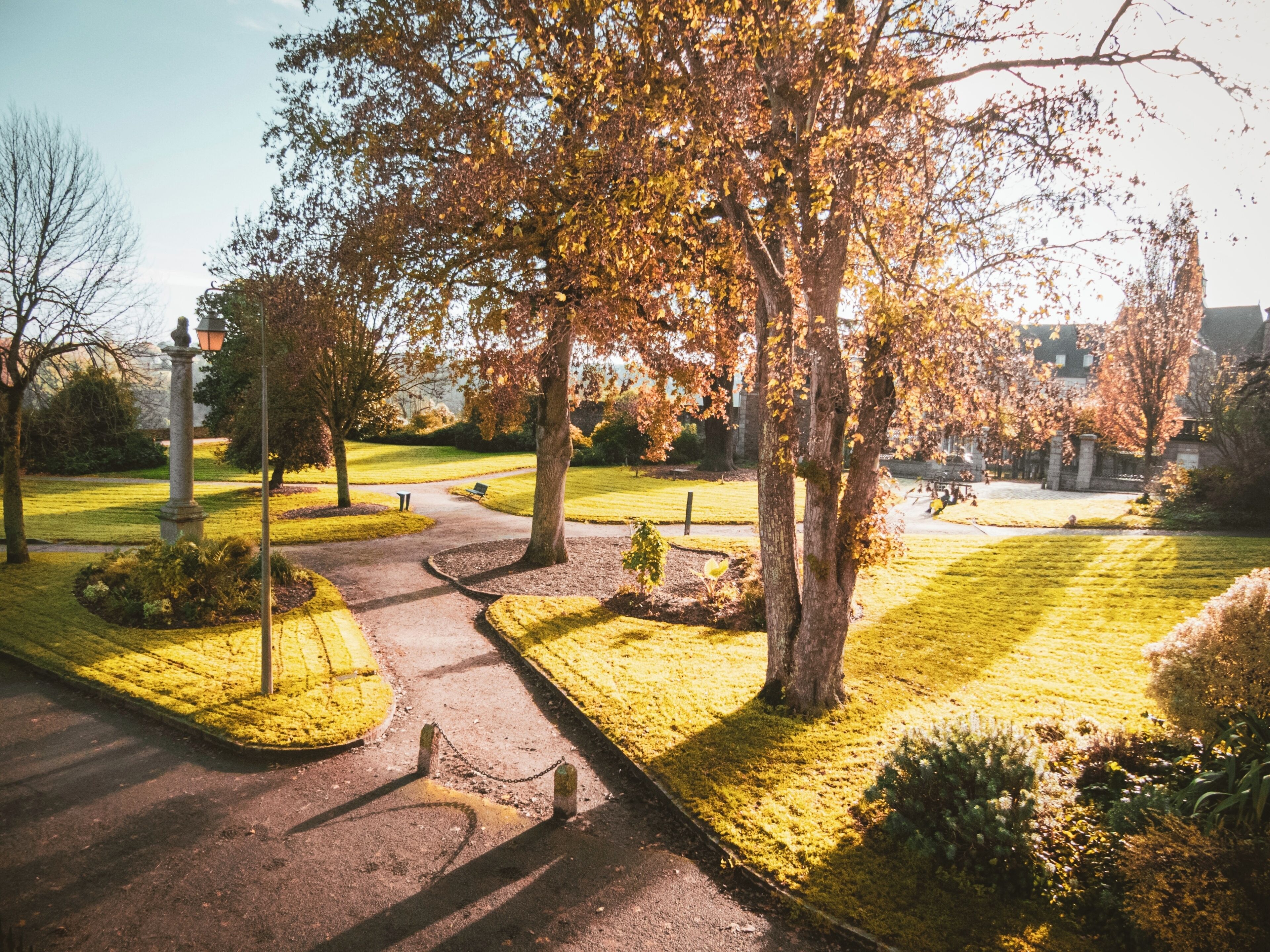 A park with pathways, benches, and trees.