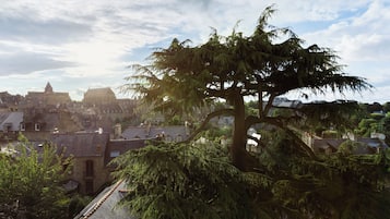 A historic town with a prominent tree in the foreground, traditional architecture, and a clear sky.