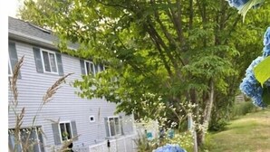 A garden with hydrangea bushes and a house in the background. - TreeFort, ZipLine, Kayaks, Beach6min drive, Vaulted Ceilings, ScreenPorch & Deck (Narragansett)