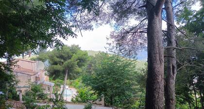 Large Chalet in full nature, with amazing views over the heights of Nice