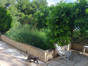 Property grounds - Large Chalet in full nature, with amazing views over the heights of Nice (Nice)