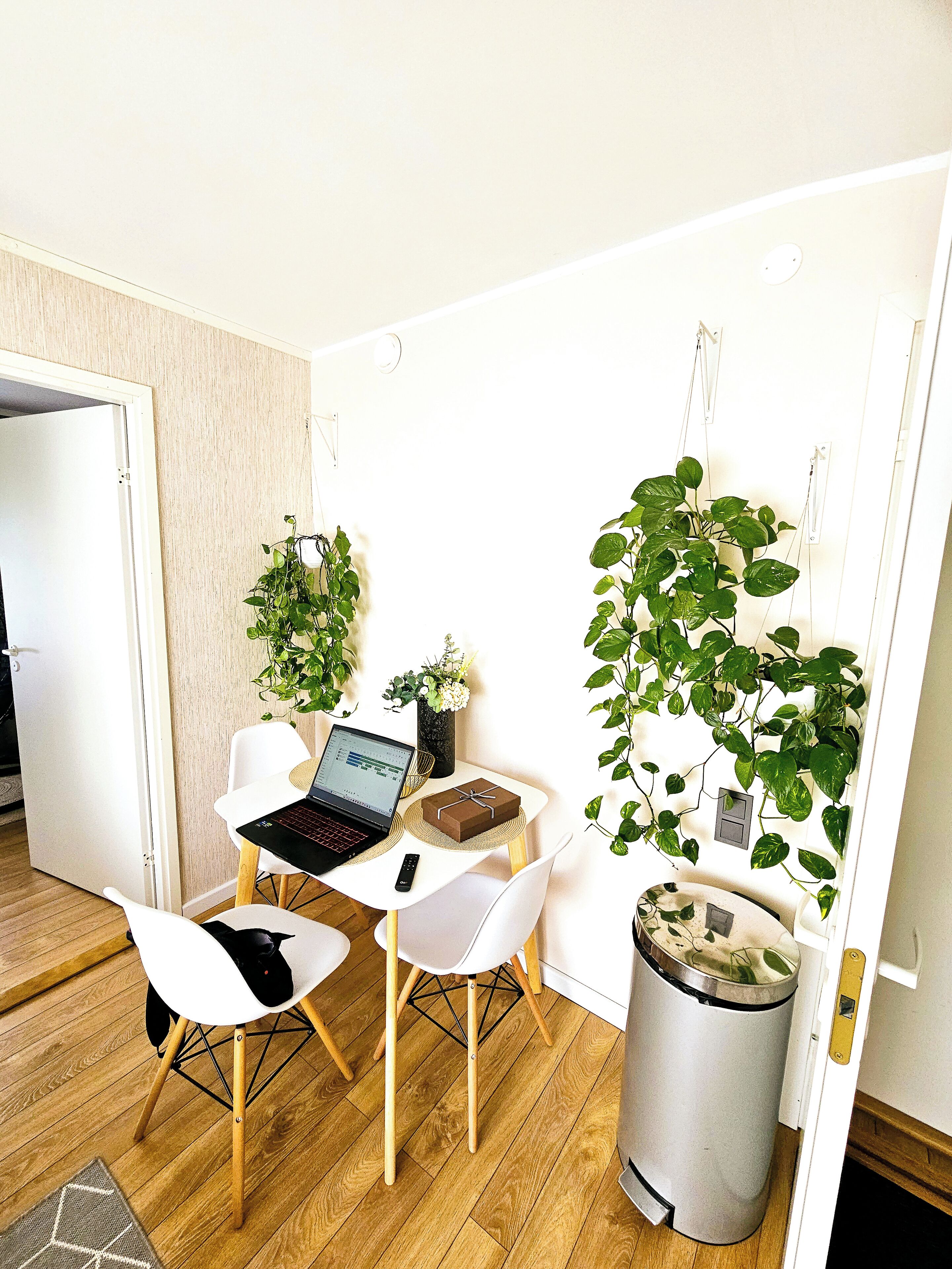 Una habitación pequeña y moderna con piso de madera, un escritorio blanco con una computadora portátil, dos sillas blancas, un cesto de basura pequeño y varias plantas verdes.