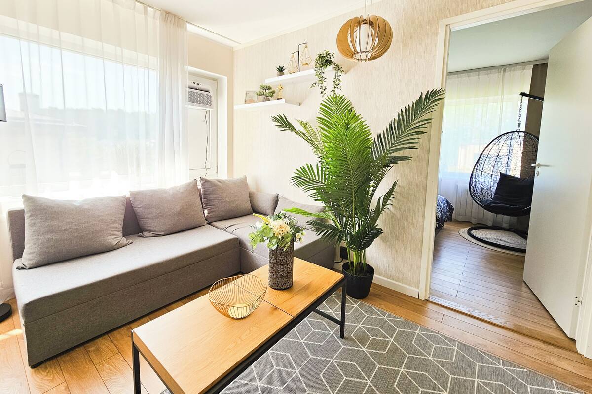 A modern living room with a grey sofa, a wooden coffee table, and a hanging chair.
