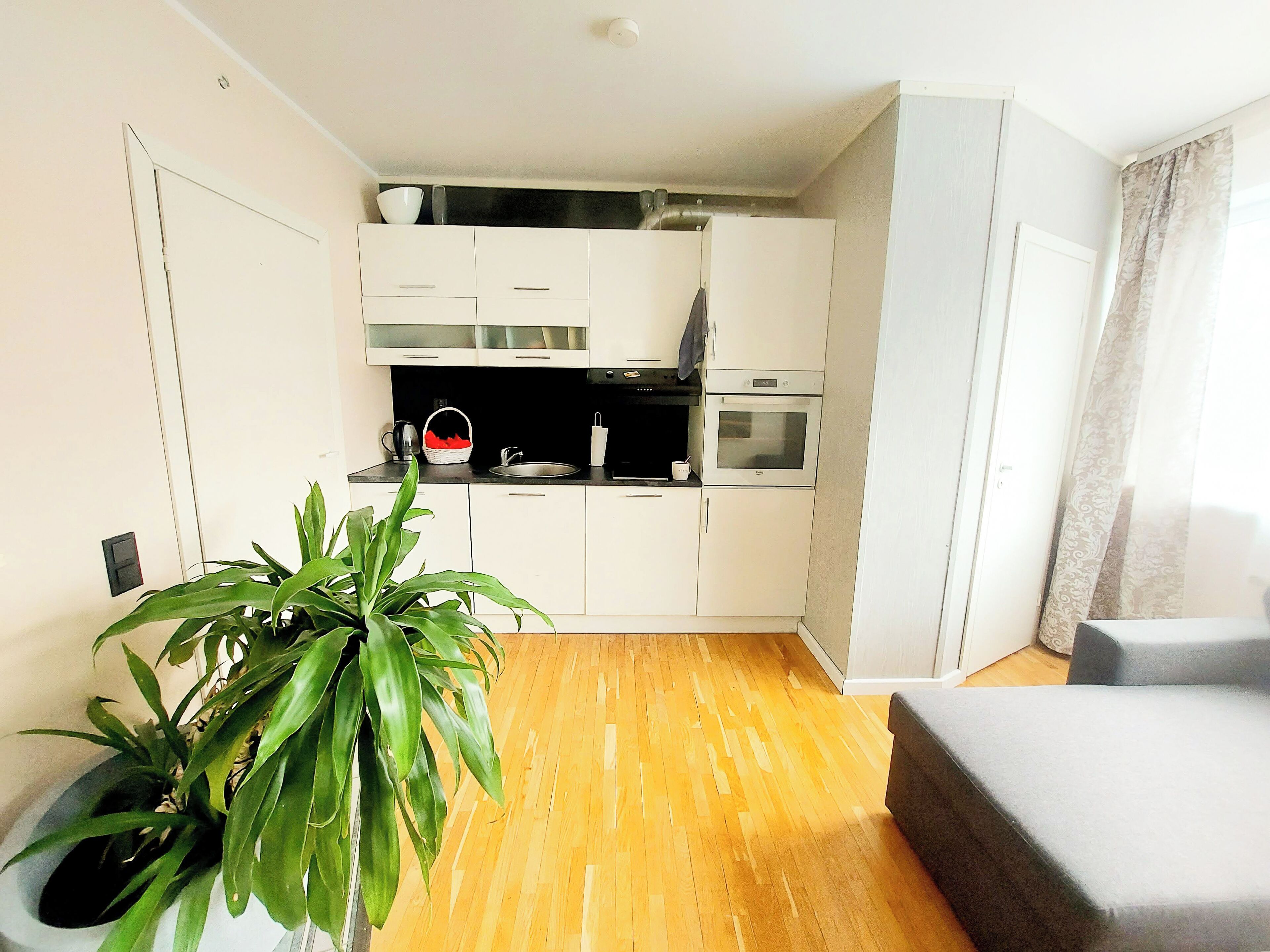 A compact living space with a kitchenette, a potted plant, and a sofa.